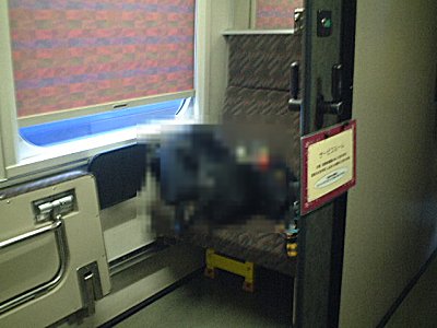 Jr新幹線で車椅子旅行するための車両図鑑 東日本編 つばめの情報有り002